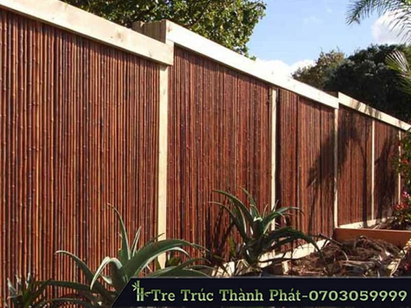 hàng rào tre trang trí