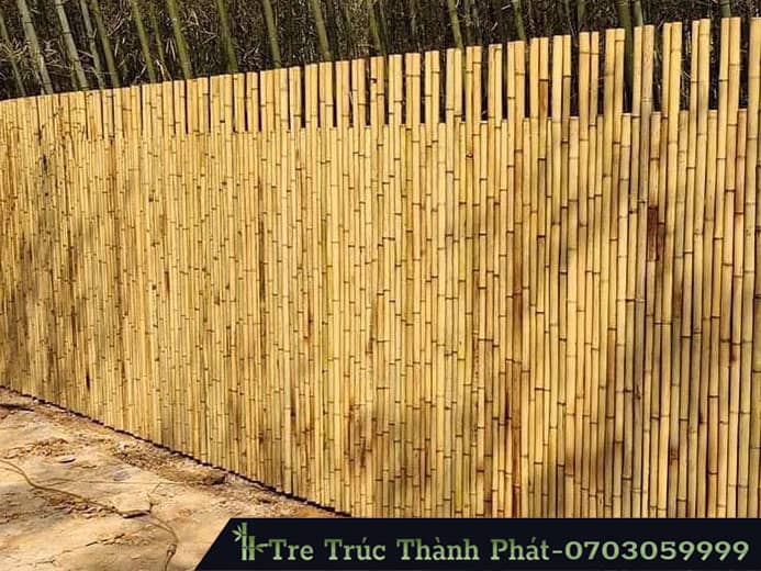 hàng rào tre