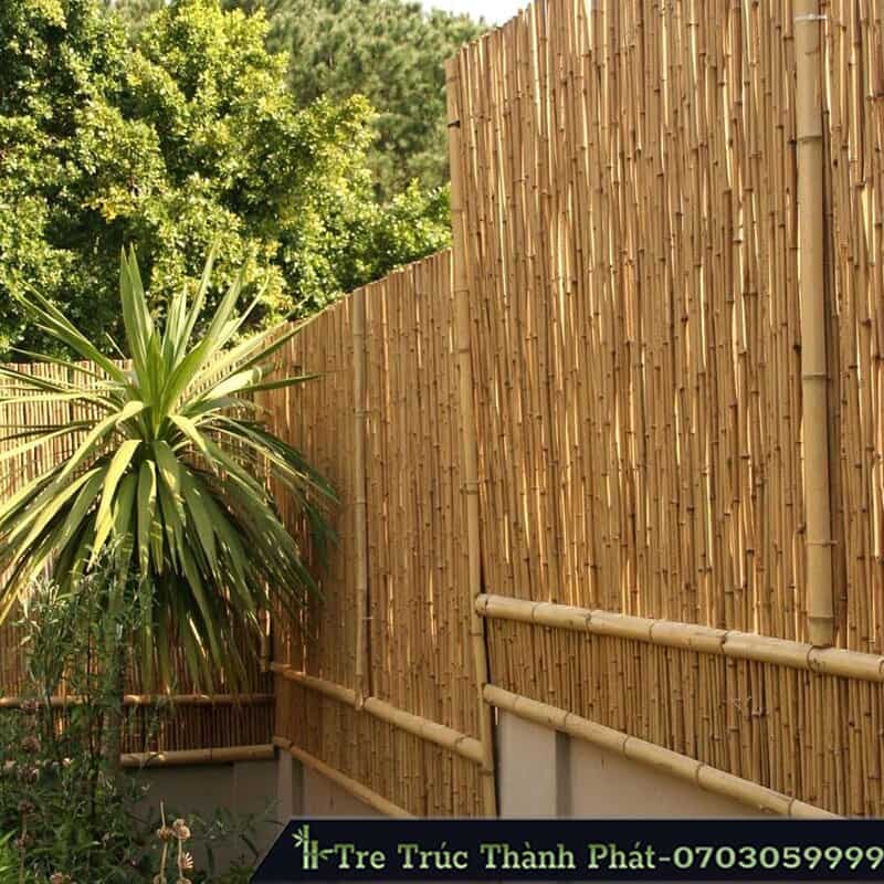vật liệu tre trong kiến trúc